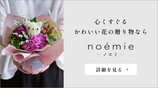 noemie バナー