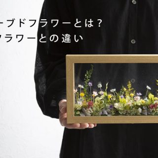 プリザーブドフラワーとは？ドライフラワーとの違いや良いお花の選び方
