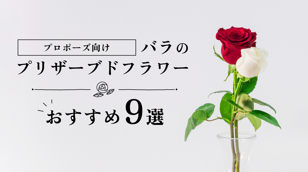 【プロポーズ向け】バラのプリザーブドフラワーおすすめ9選