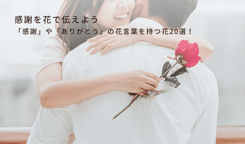 「感謝」や「ありがとう」の花言葉を持つ花20選！