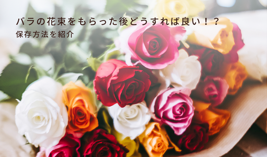 バラの花束をもらった後どうすれば良いか分からない！？保存方法を紹介