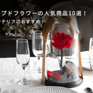 部屋のインテリアにおすすめ！プリザーブドフラワーの人気商品10選