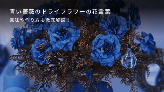 青い薔薇のドライフラワーの花