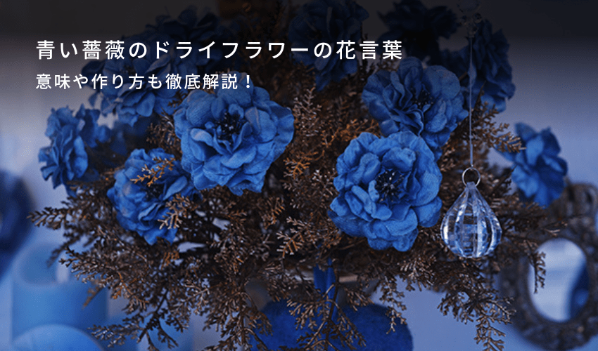 青い薔薇のドライフラワーの花言葉や意味、作り方も徹底解説！