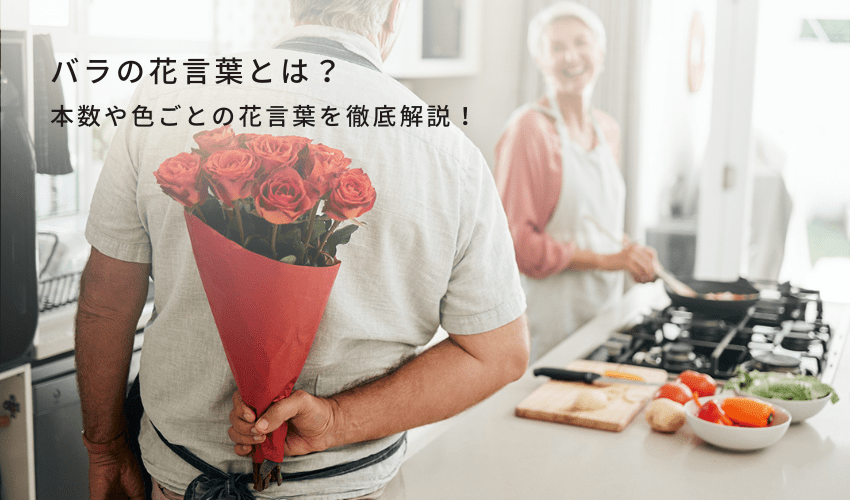 バラの花言葉とは？本数や色ごとの花言葉を徹底解説！