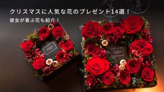 クリスマスに人気な花のプレゼント14選！彼女が喜ぶ花も紹介！-THE