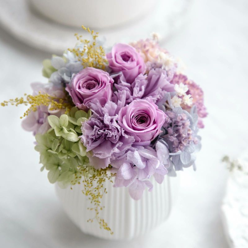 アクアレル(M)/ヴィオレ