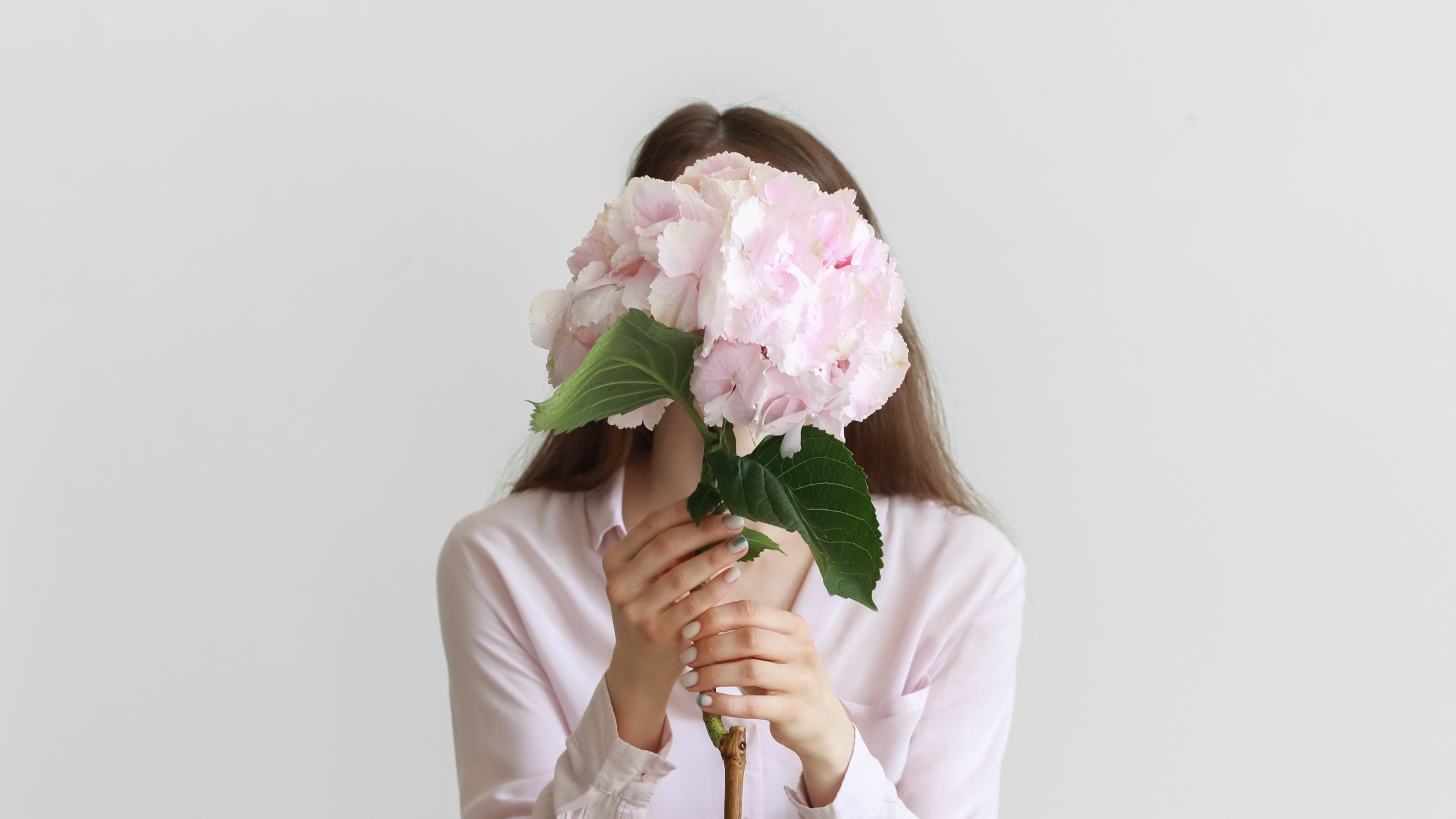 紫陽花（アジサイ）