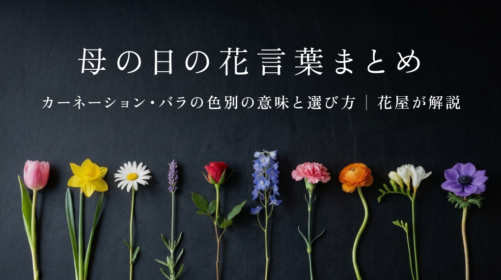 母の日の花言葉まとめ｜カーネーション・バラの色別の意味と選び方【花屋が解説】