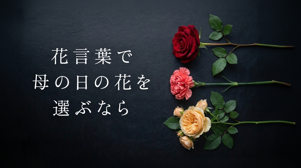 花言葉で母の日の花を選ぶなら