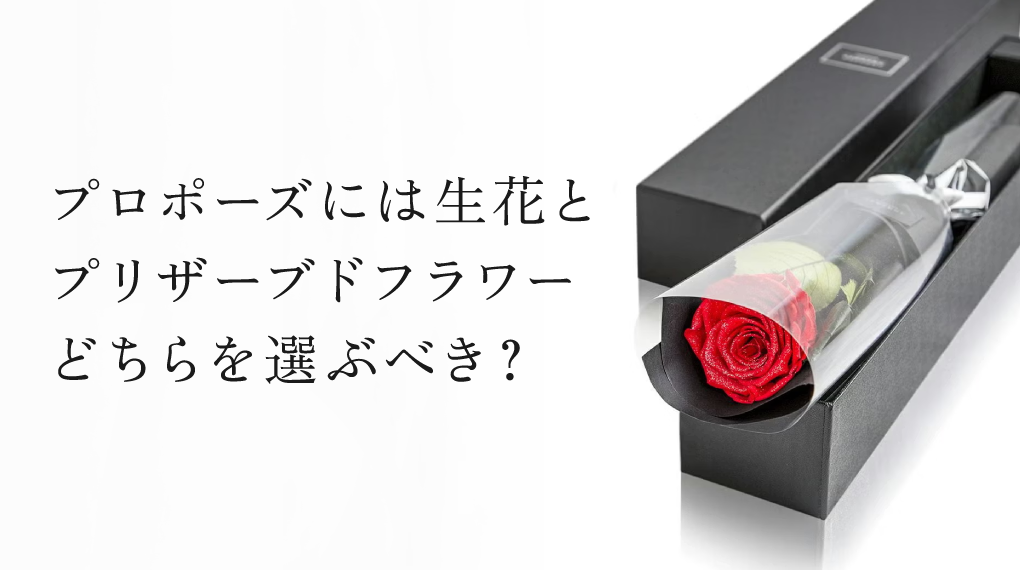 プロポーズには生花とプリザーブドフラワーどちらを選ぶべき？